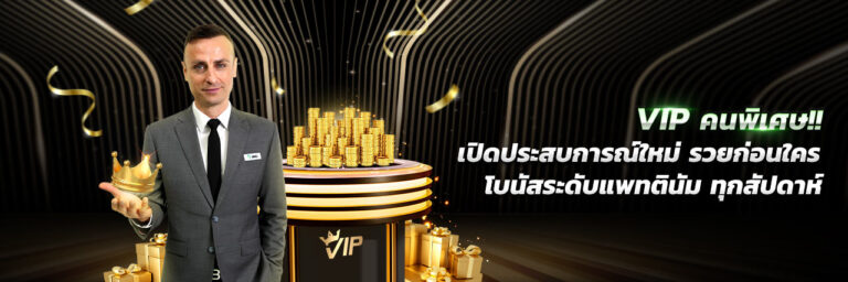 บริการ VVIP