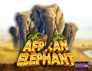 pg game slot แตกง่ายแจกจริง African Elephant Best